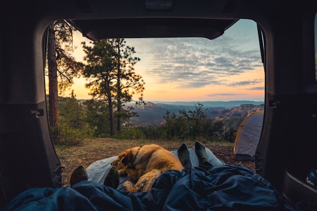 Sleeping bags and pads